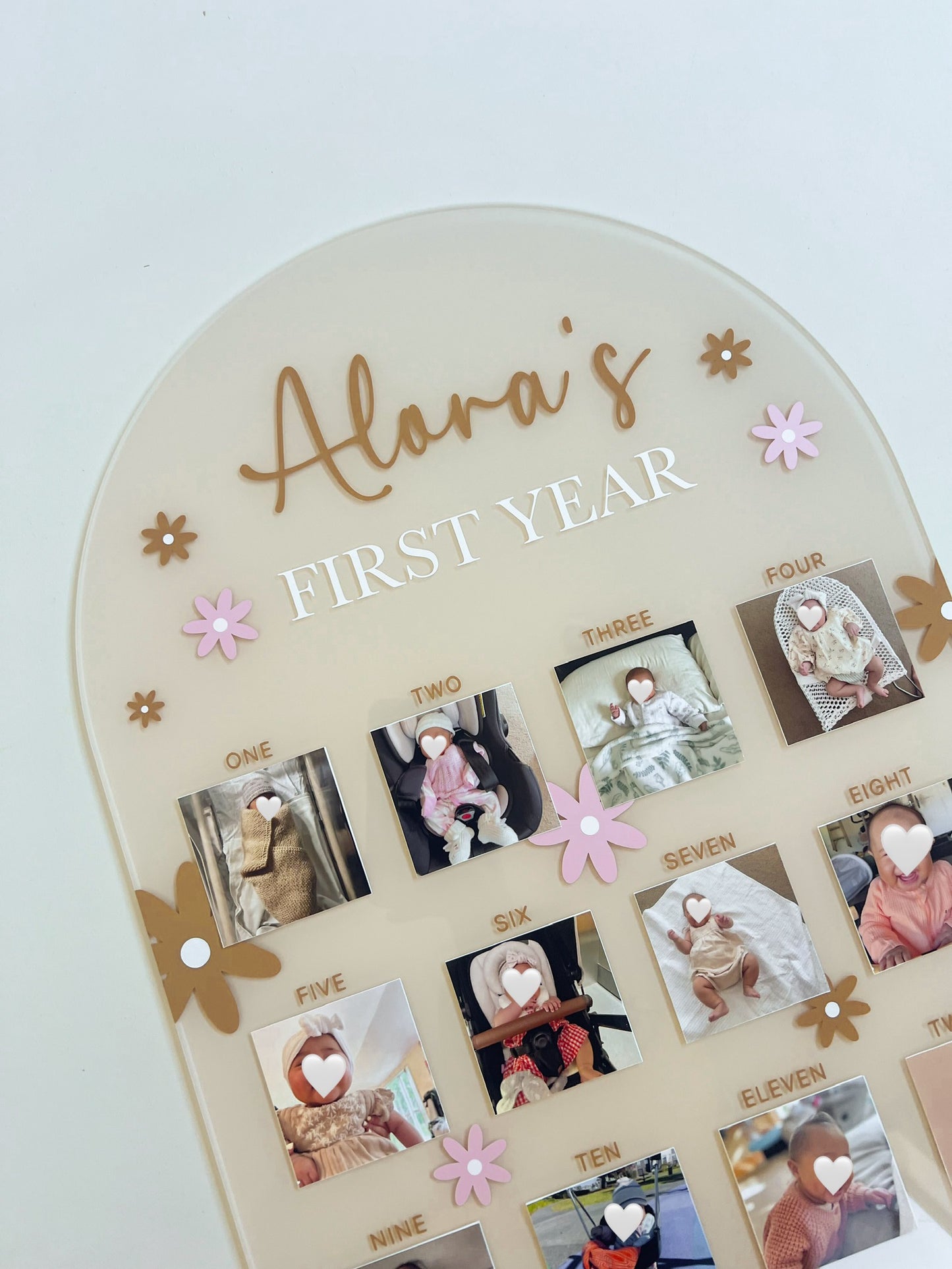 (CUSTOM) My First Year Photo Board