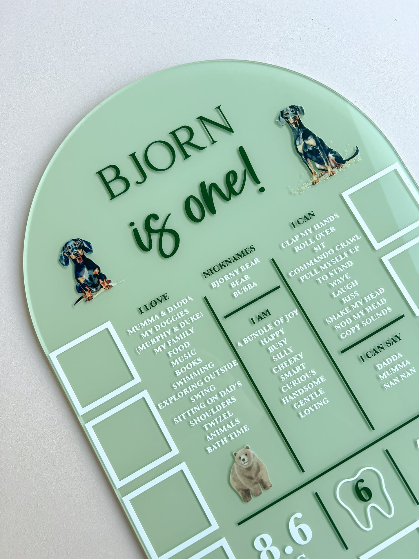 (CUSTOM) Milestone + Photos Birthday Board