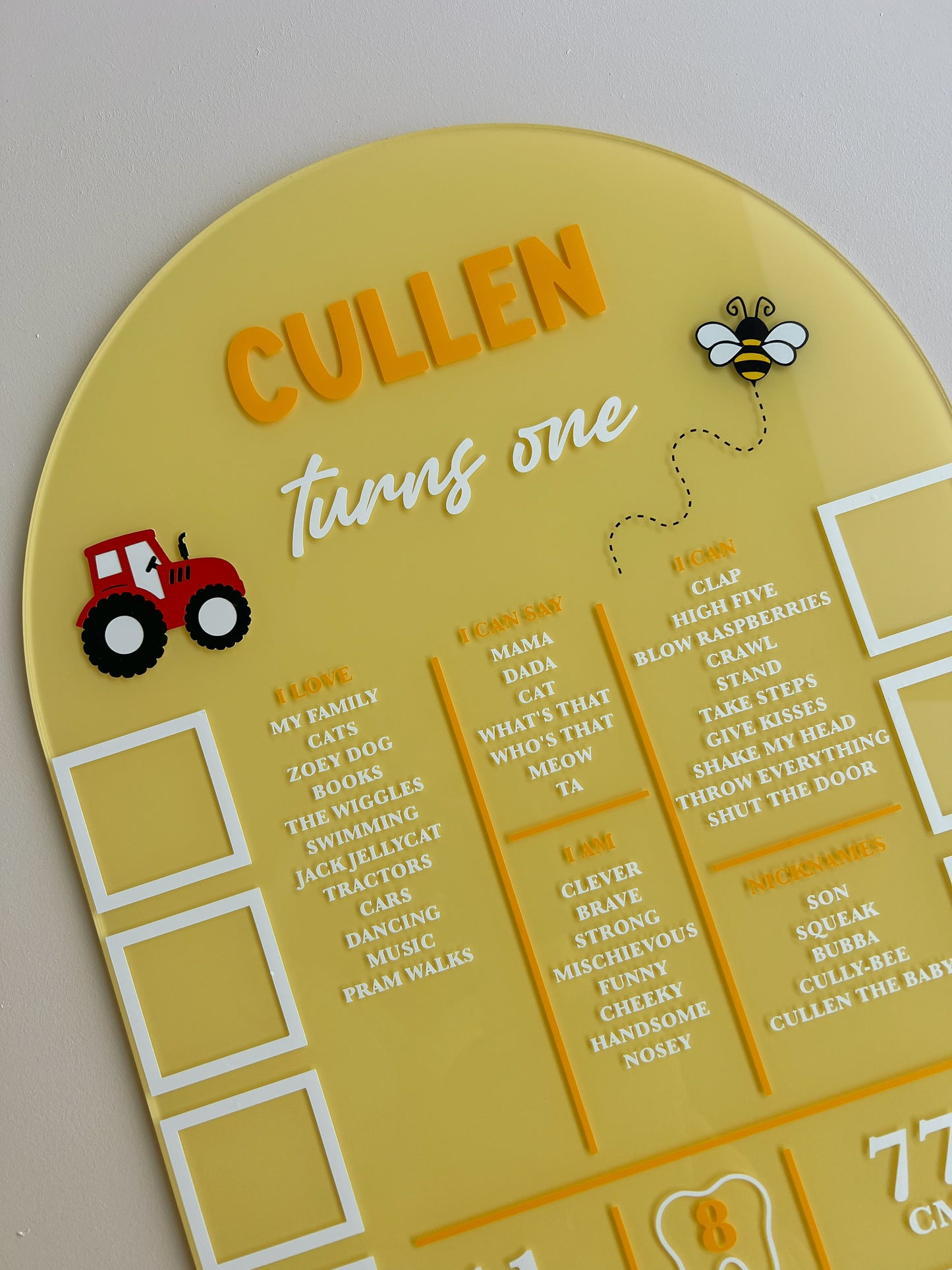 (CUSTOM) Milestone + Photos Birthday Board