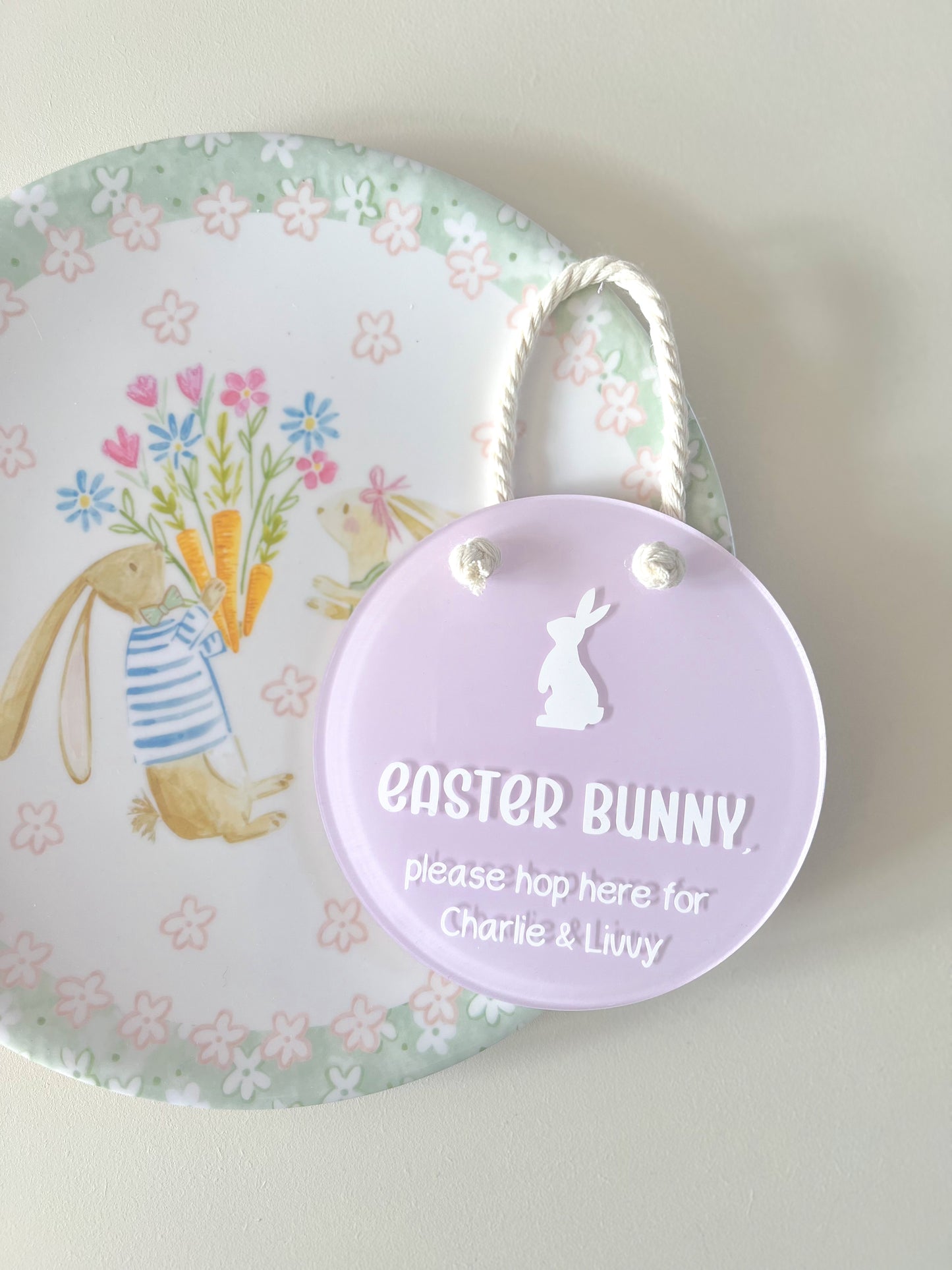 Easter Bunny Hanging Sign