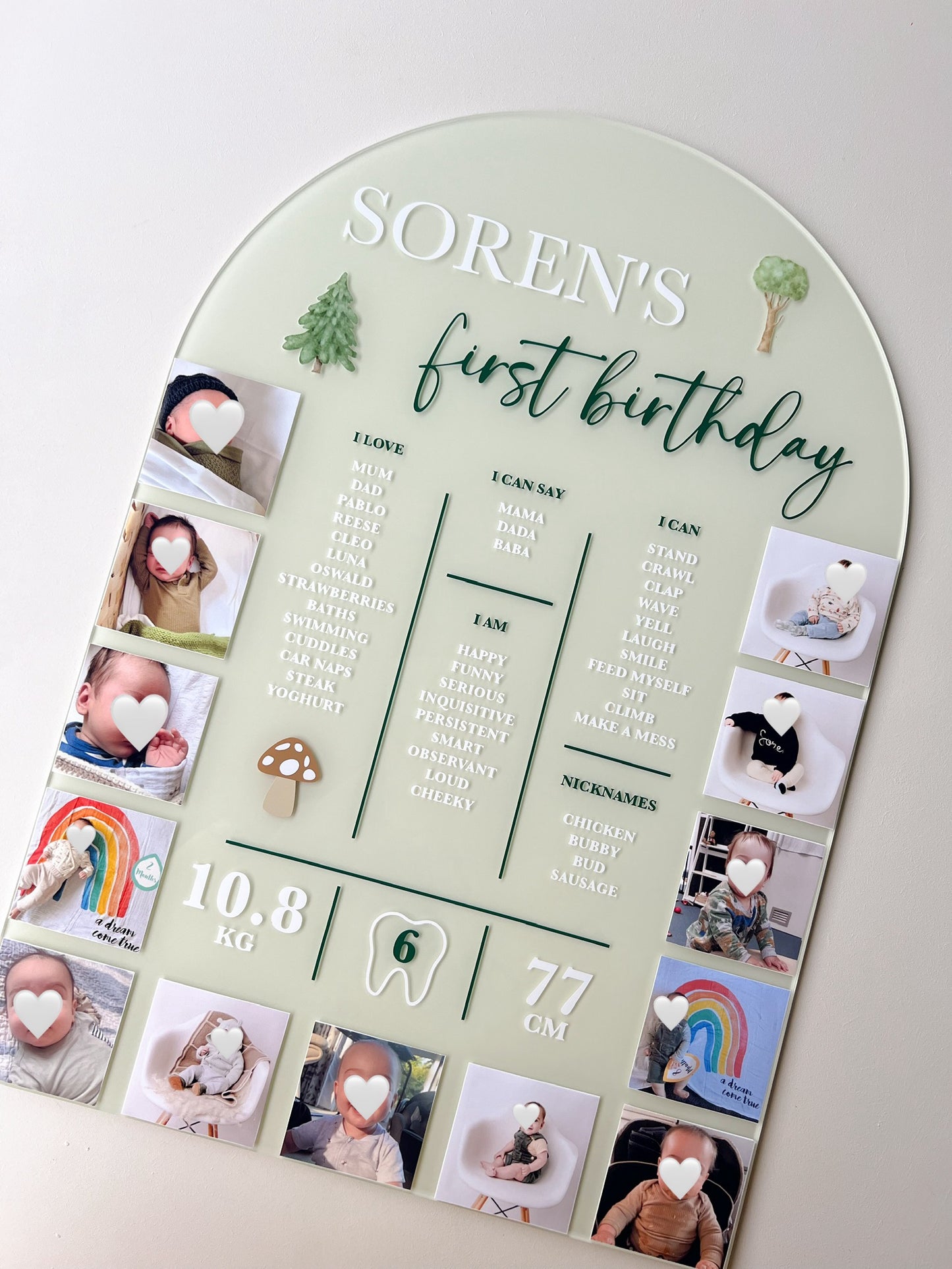 Milestone + Photos Birthday Board