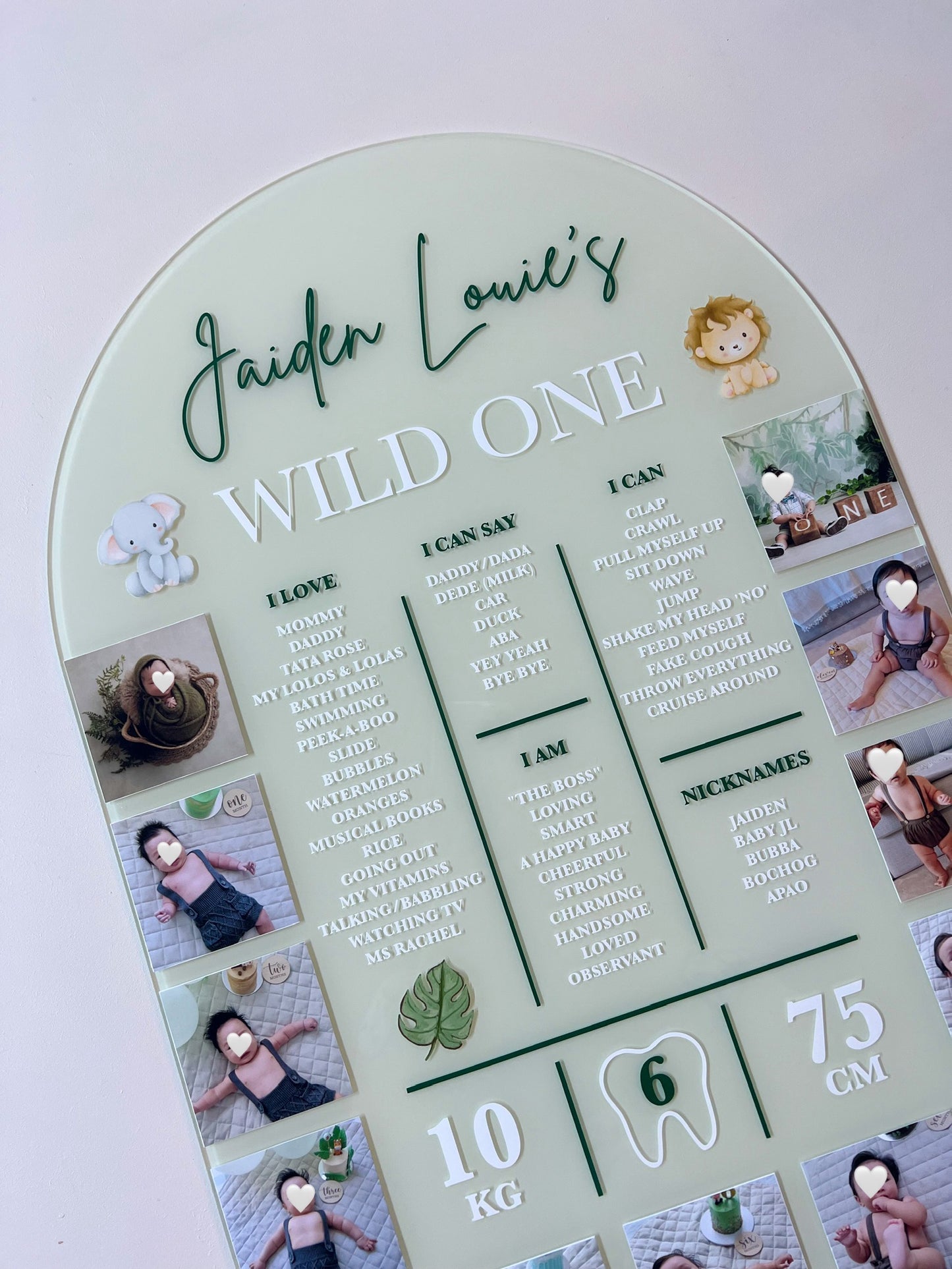 Milestone + Photos Birthday Board